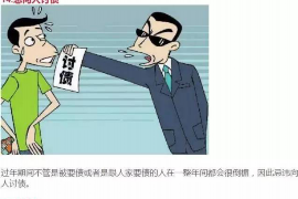 望江融资清欠服务